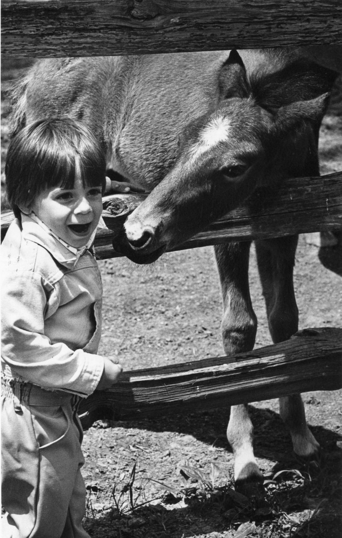 Grant's Farm in 1980